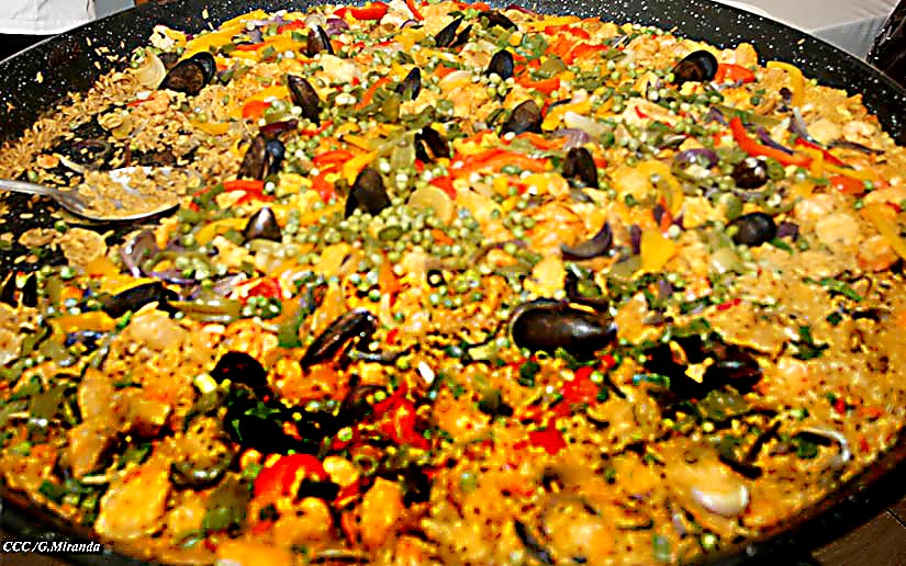 gastro